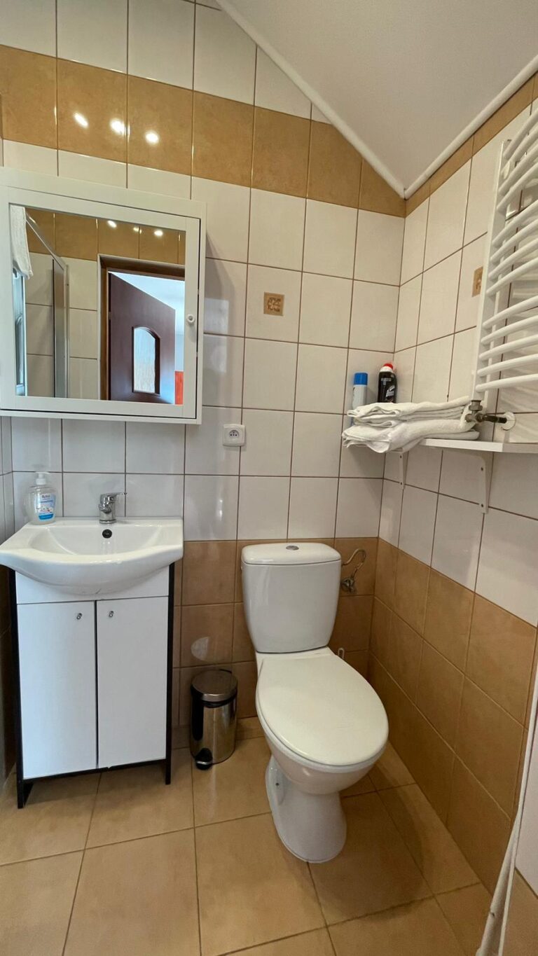 Łazienka pokoju Classic z umywalką, lustrem i toaletą