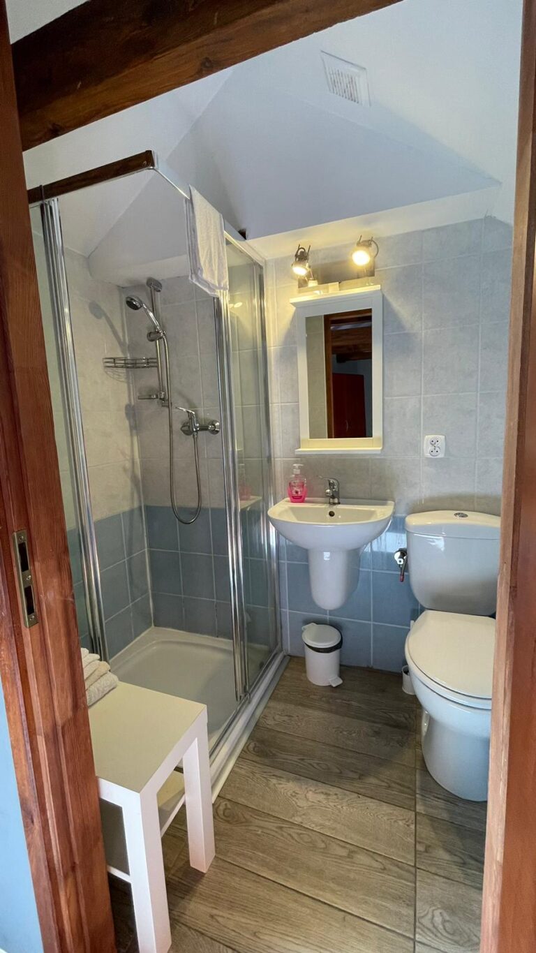 Widok na łazienkę pokoju Classic z kabiną prysznicową, umywalką i lustrem